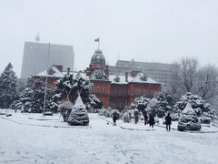 -北海道厅旧本厅舍(旧本庁舎)