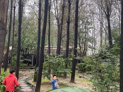 -林间山庄
