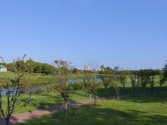 -苏州湾体育公园