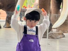 -陕西自然博物馆