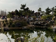 -郑州植物园