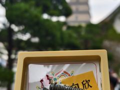 -大慈恩寺(大雁塔)