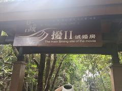 -亚龙湾热带天堂森林公园