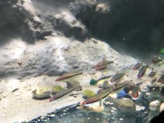 -苏州海洋馆