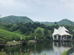 -帐篷客·溪龙茶谷度假酒店