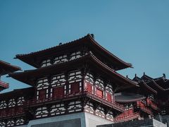 -洛阳市隋唐城遗址植物园