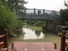 -中国扬子鳄村