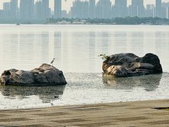 -东湖生态旅游风景区