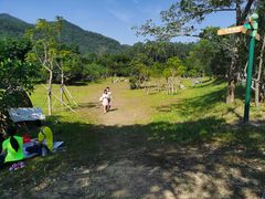 -田心森林公园