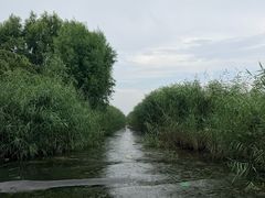 -白洋淀景区