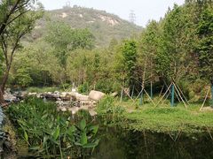 -白水寺森林公园