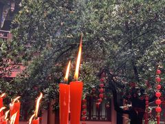 -青城甲(青城山店)