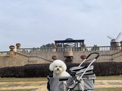 -东莞植物园