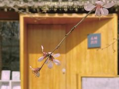 -三里河公园