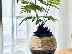 -乐港休闲馆茶艺·简餐·茶室(首都机场T2店)