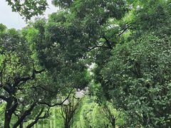 -荔香公园