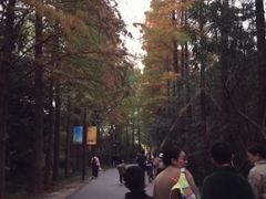 -狼山风景名胜区