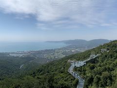 -亚龙湾热带天堂森林公园