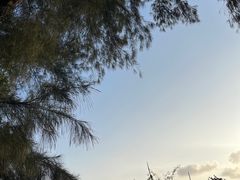-海南铜鼓岭景区