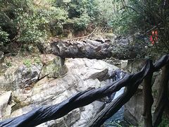 -篁嶺土菜馆·柴火饭 土鸡土菜