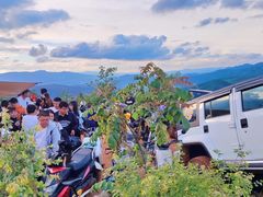 -长虫山生态公园风景林