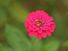 滨湖湿地公园-合肥滨湖国家森林公园