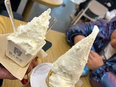 -野人先生Gelato(上海长宁龙之梦店)