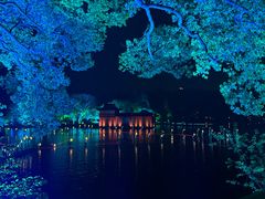 -印象西湖·最忆是杭州实景演出