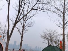 -琴岛之星摩天轮