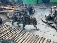 -昆明动物园