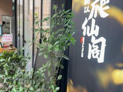 -酷以爬仙阁实体爬宠店·守宫·蜥蜴·专业繁育