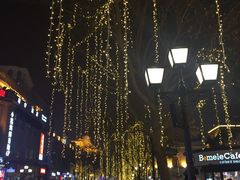 -东方饺子王(创始店)