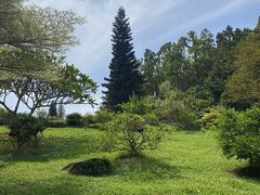 -深圳仙湖植物园