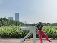 -艾溪湖湿地公园