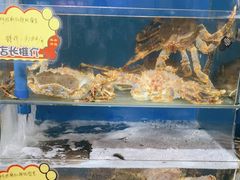 -蚝专家(北滘店)