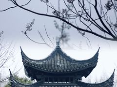 -南湖湿地公园