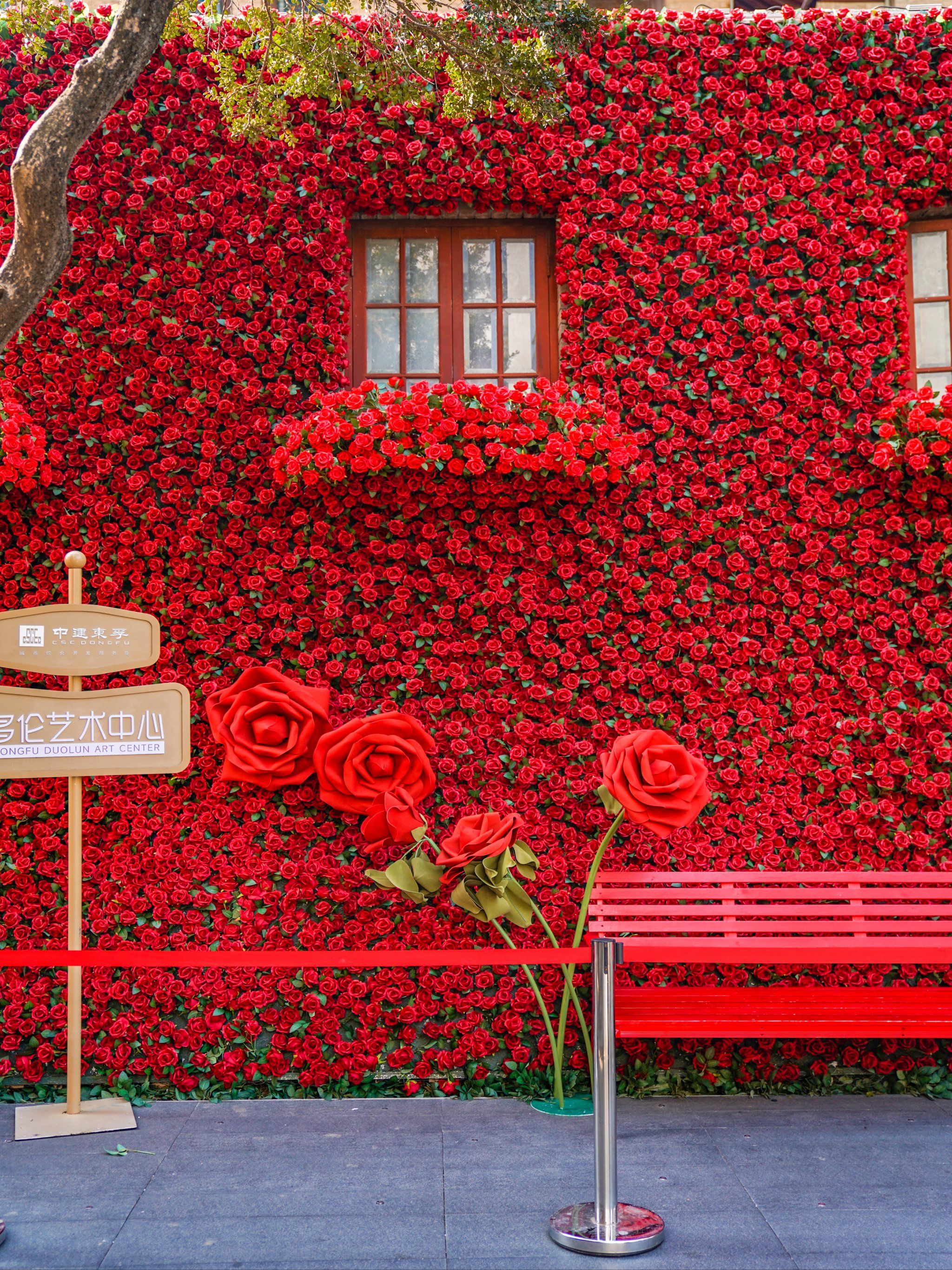 玫瑰花墙🌹上海情人节氛围nextlevel