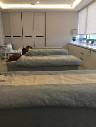 -松和日式美容整骨