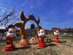 -上海海湾国家森林公园