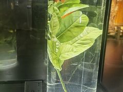 -广东中医药博物馆