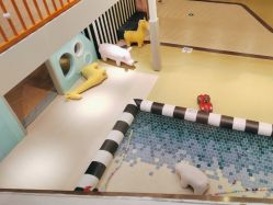 -meland club亲子乐园(重庆万象城店)