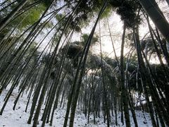 -高老庄·老溧阳·私房菜(南山竹海店)