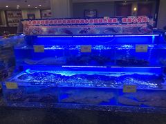 水产区-新海渔港·胶东海鲜家常菜·家宴(奥体中心店)