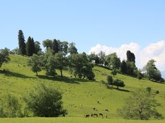 -新疆那拉提国家旅游度假区