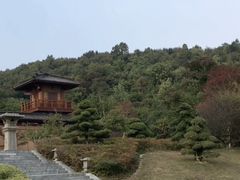 -习家池