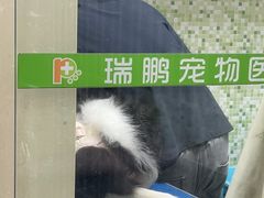 -瑞鹏宠物医院·微创内窥镜·骨外科·牙科(翠竹分院)