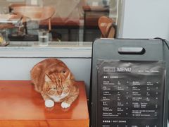 -CoffeeVendor(西乡店)