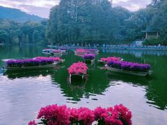 -广州市白云山风景名胜区