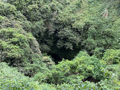 -海口火山口国家地质公园