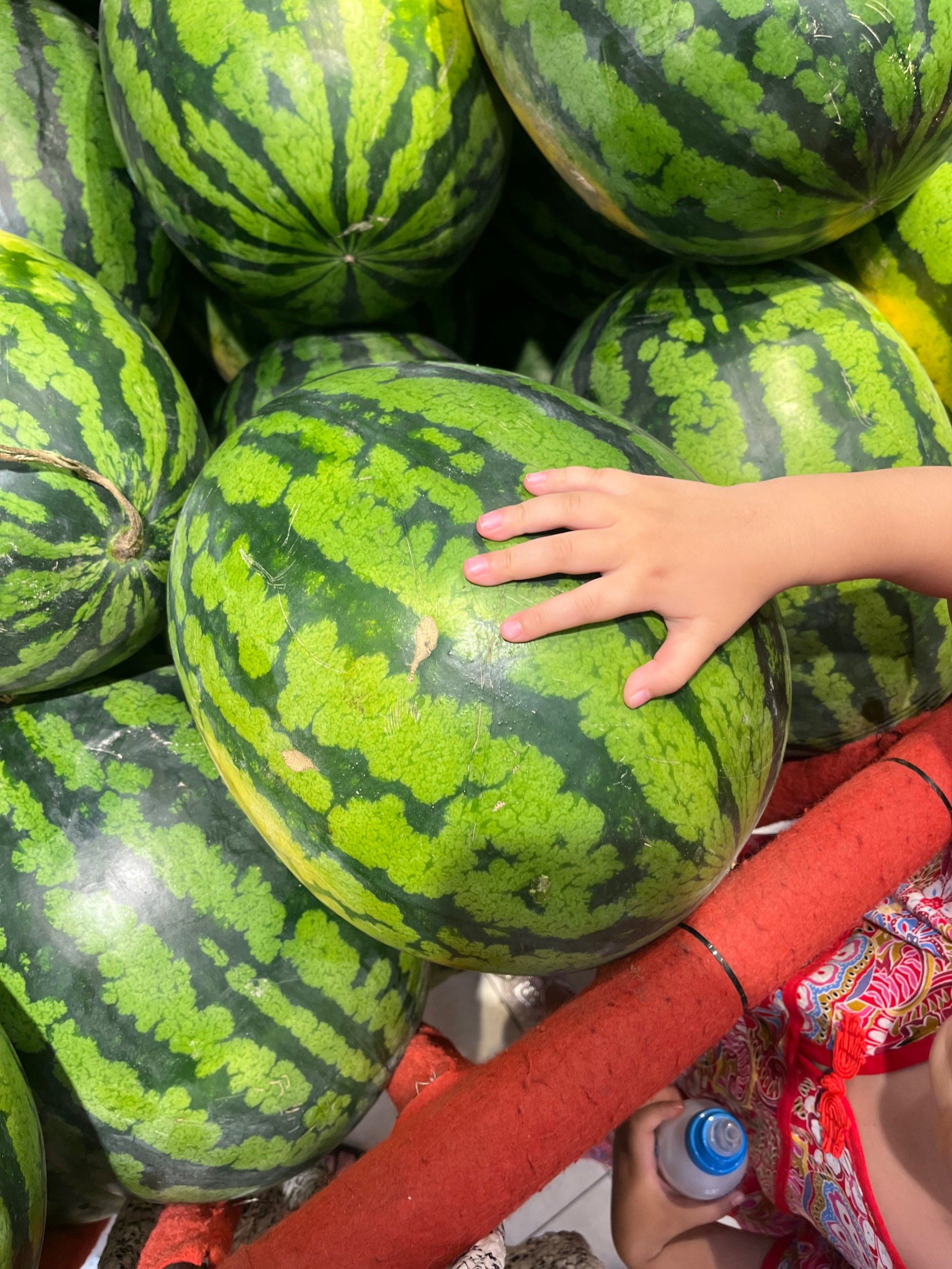 惊了!超市大西瓜